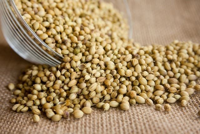 Cilantro seeds - image by PDPics on pixabay