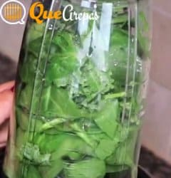 Spinach leaves in the blender - quearepas.com